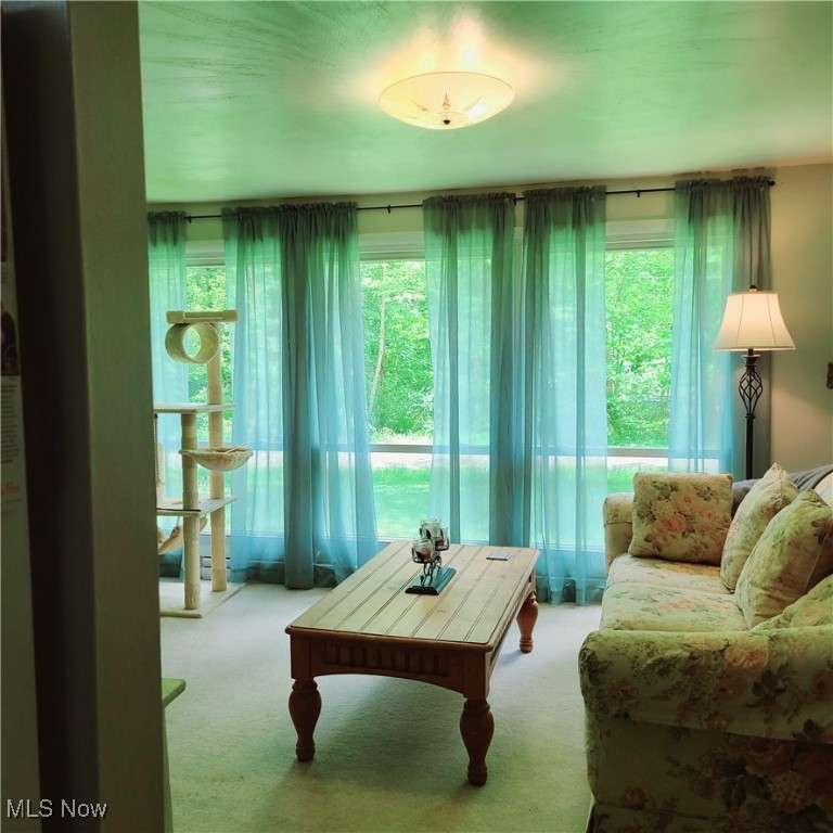 13423 Price Street, Alliance, Ohio image 9