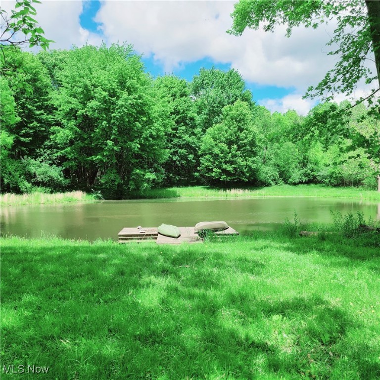 13423 Price Street, Alliance, Ohio image 4