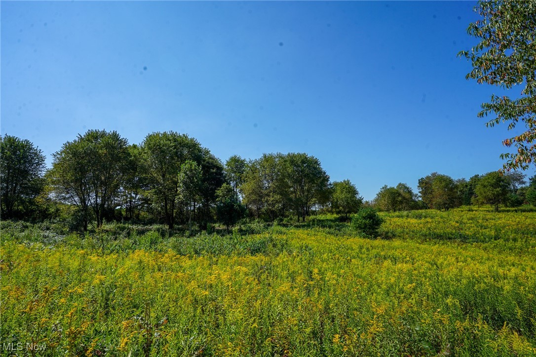 Rye Ln, Kimbolton, Ohio image 7