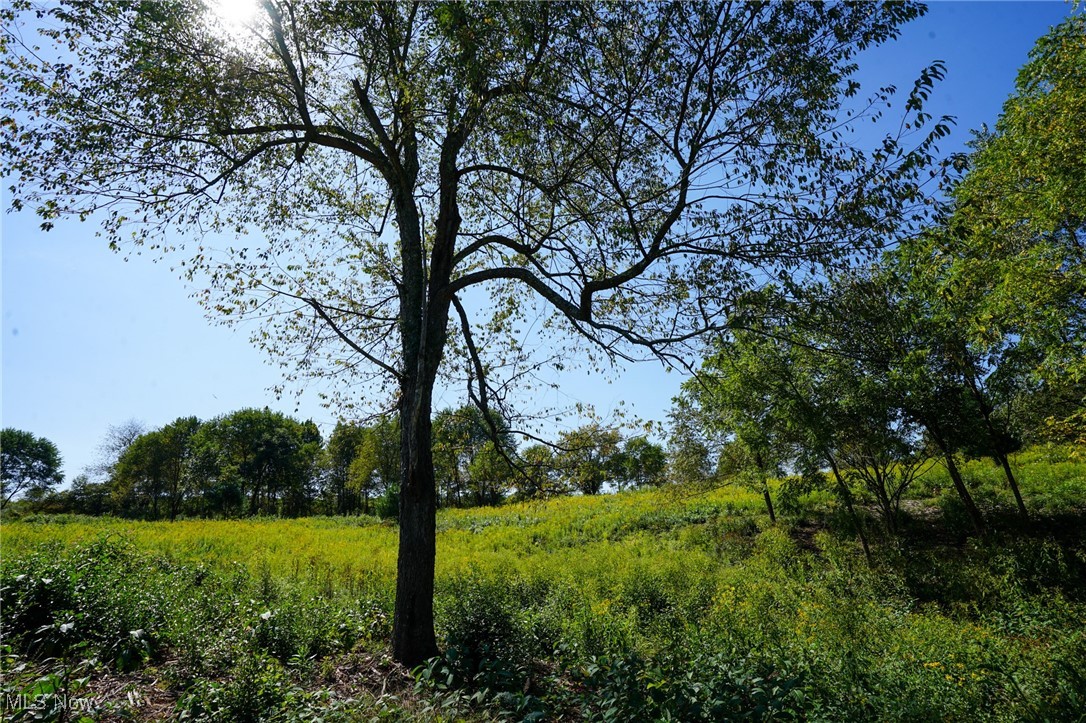 Rye Ln, Kimbolton, Ohio image 4