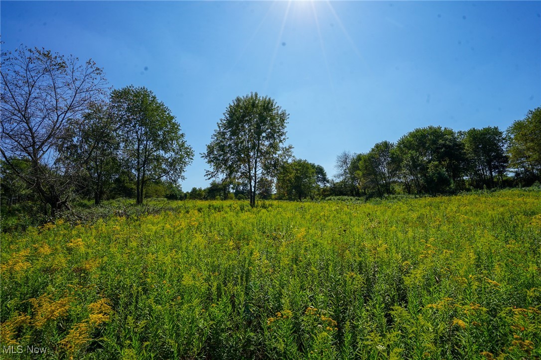 Rye Ln, Kimbolton, Ohio image 5