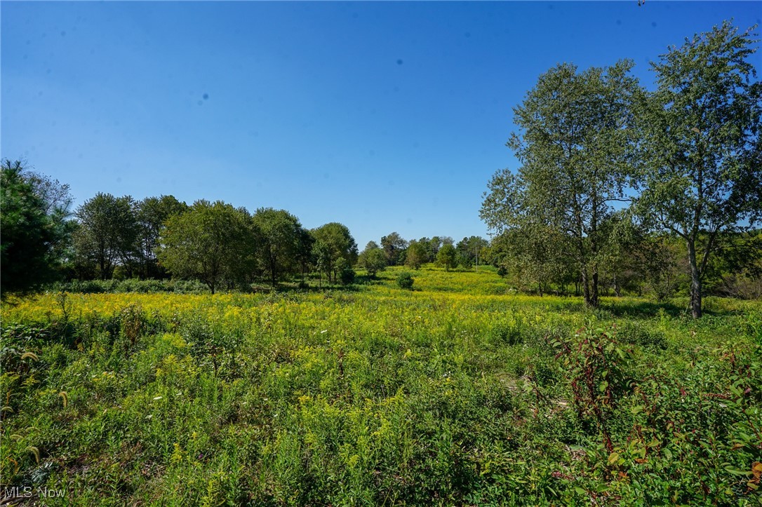 Rye Ln, Kimbolton, Ohio image 1