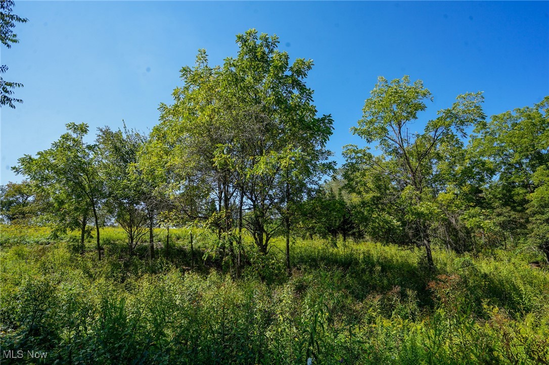 Rye Ln, Kimbolton, Ohio image 3