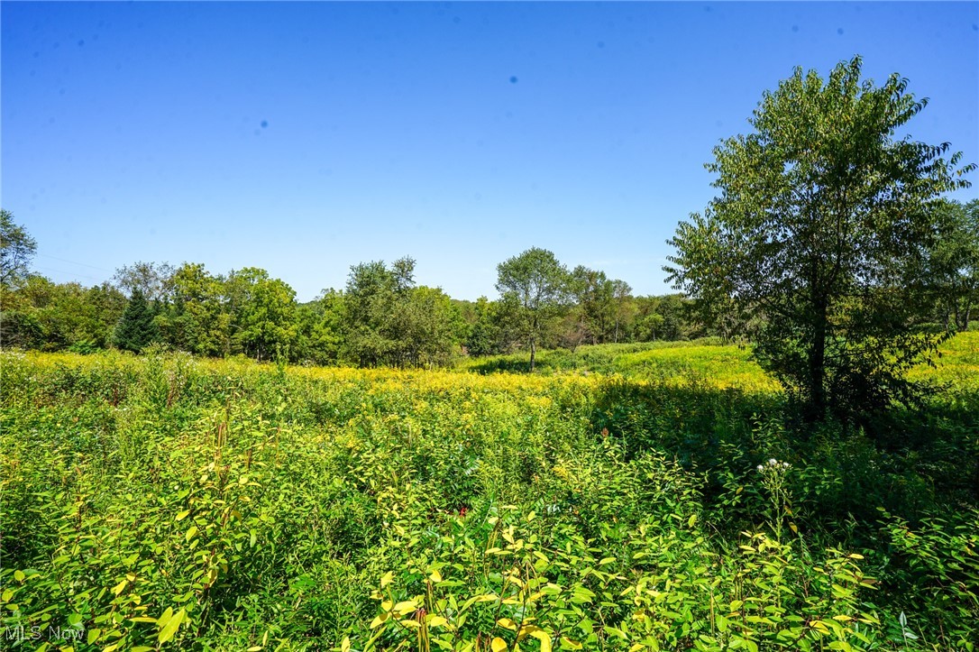 Rye Ln, Kimbolton, Ohio image 24