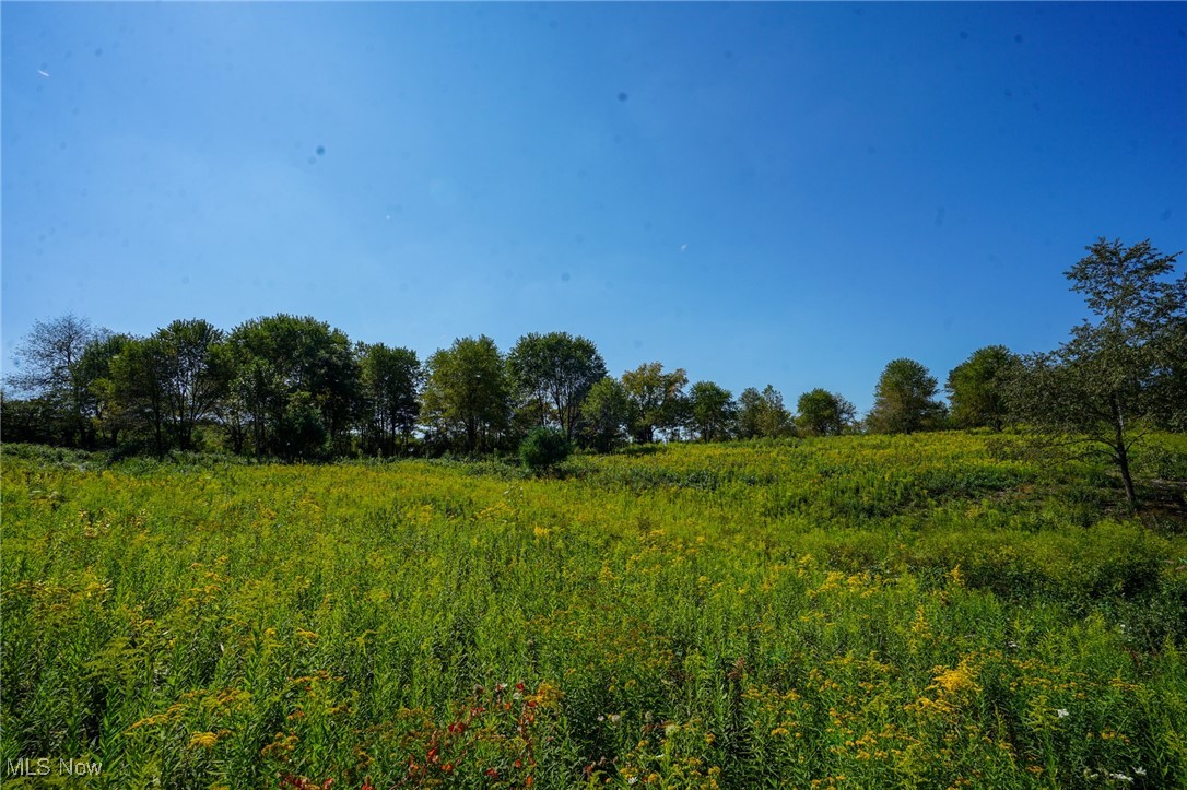 Rye Ln, Kimbolton, Ohio image 6