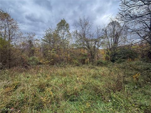 Vacant Land For Sale - Pearl Wood Rd<br/> Albany, OH 45710