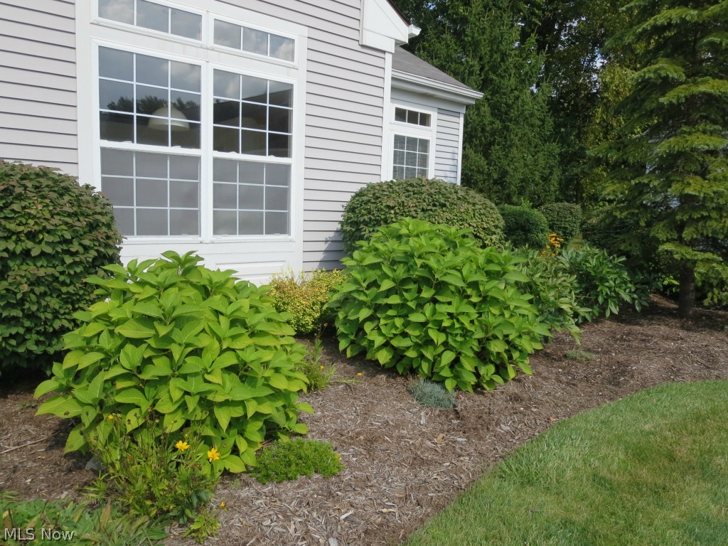 Prescott Commons Condo - Residential