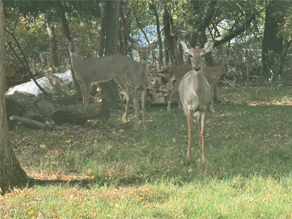 Harding Heights - Land