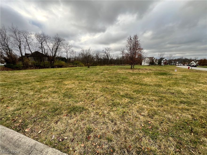 Build your dream home in the coveted Montville Lakes development. There are two other adjacent half-acre lots that are also available. All are ready to build using Medina County's very own Nell Homes! Each lot has all city utilities, including water, gas, electric, sewer and Medina Fiber internet. The award-winning Highland School District & convenient location make these lots a rare opportunity to build your home. Development has over 2 miles of private walking trails. 2,200 Square foot minimum home size is required. The walking trails connect to the Blue Heron Medina County Park District!