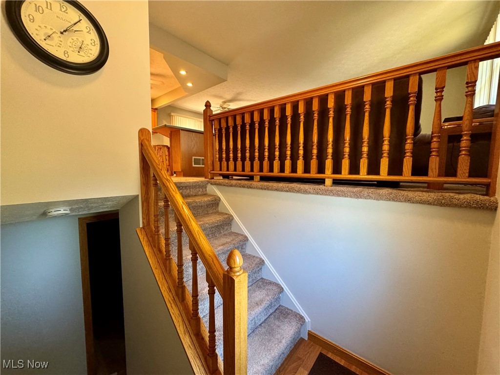 Bazetta - Residential