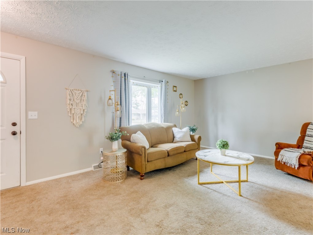 Brimfield - Residential