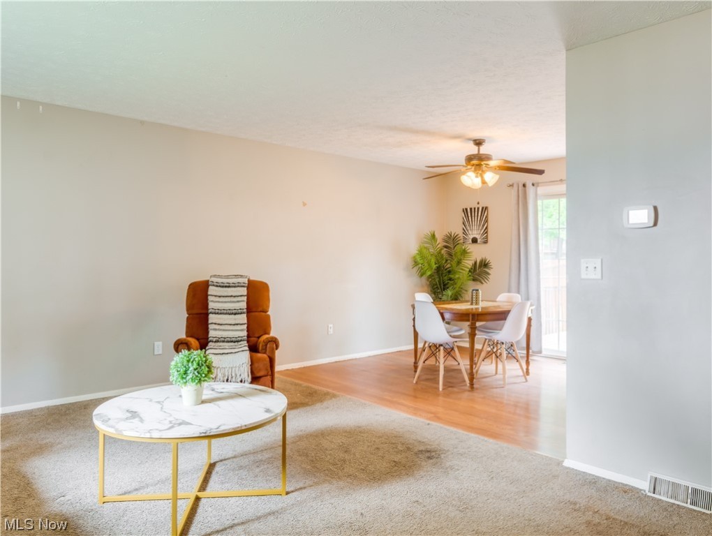 Brimfield - Residential