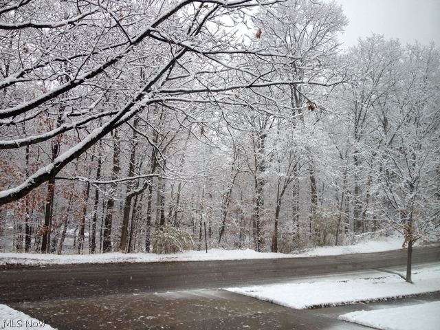 Eureka Park 01 - Residential