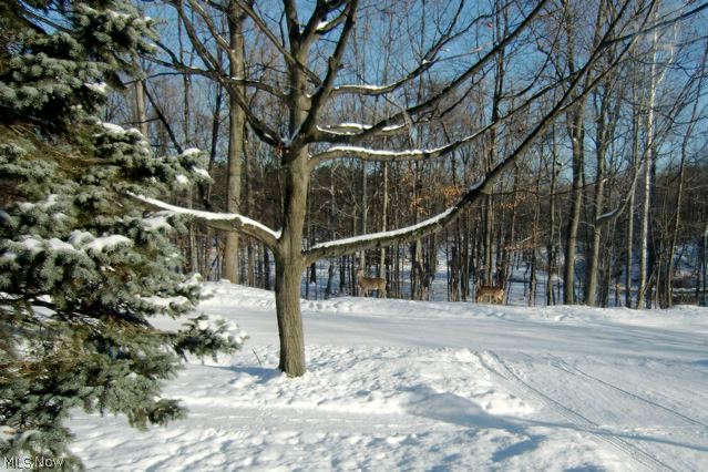 Eureka Park 01 - Residential