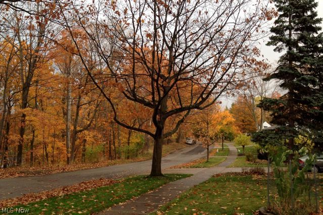 Eureka Park 01 - Residential