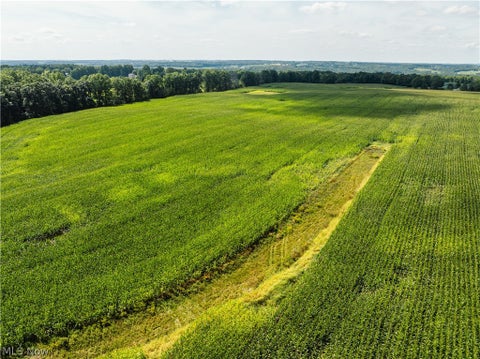 Vacant Land For Sale - 12472 Gearhart Rd<br/> Burbank, OH 44214