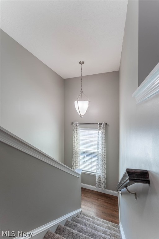 Lexington Farms - Residential