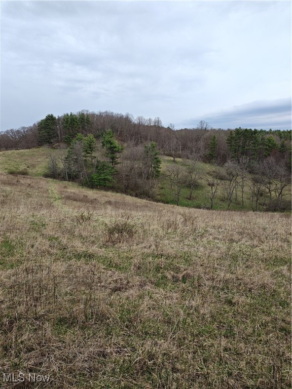 Fargo Road, Dellroy, Ohio image 11