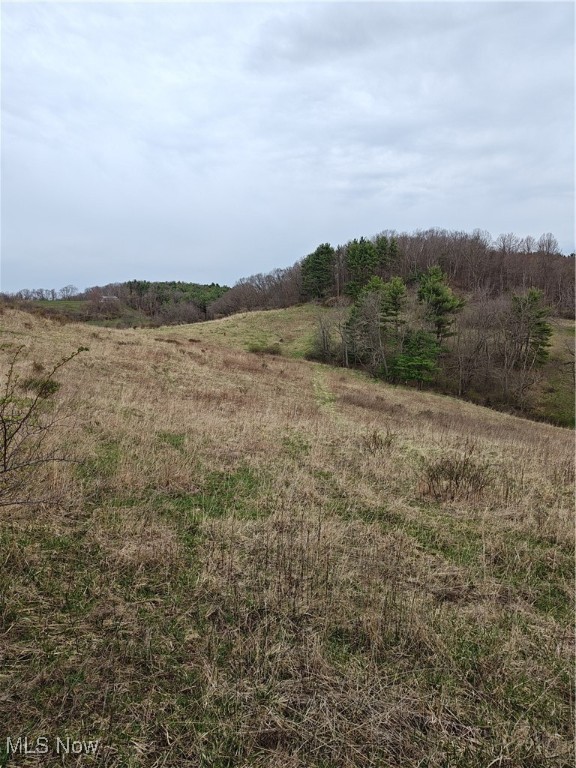 Fargo Road, Dellroy, Ohio image 12
