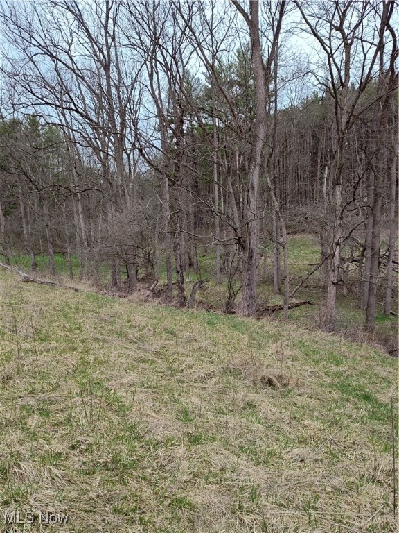 Fargo Road, Dellroy, Ohio image 6