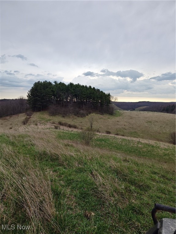 Fargo Road, Dellroy, Ohio image 22