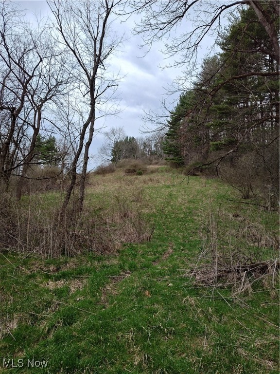 Fargo Road, Dellroy, Ohio image 5