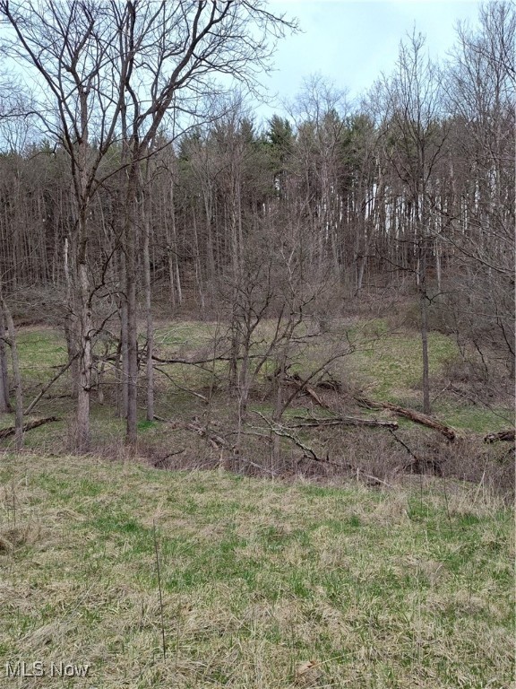 Fargo Road, Dellroy, Ohio image 7