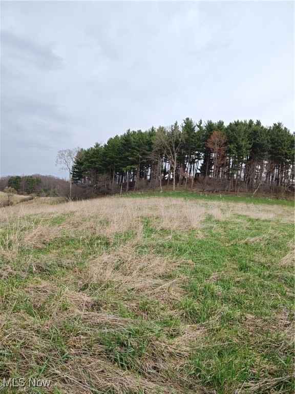 Fargo Road, Dellroy, Ohio image 14