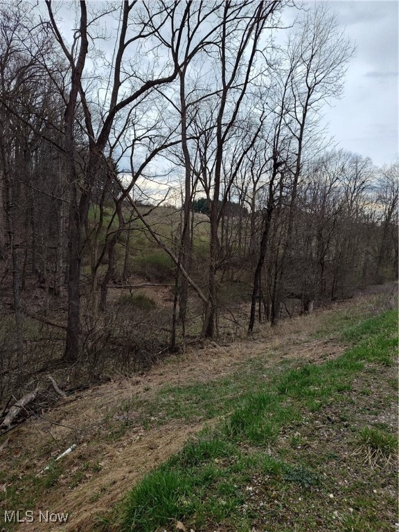 Fargo Road, Dellroy, Ohio image 3