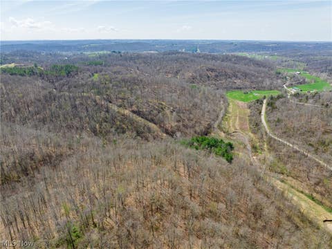 Vacant Land For Sale - East Branch Road<br/> Lowell, OH 45744