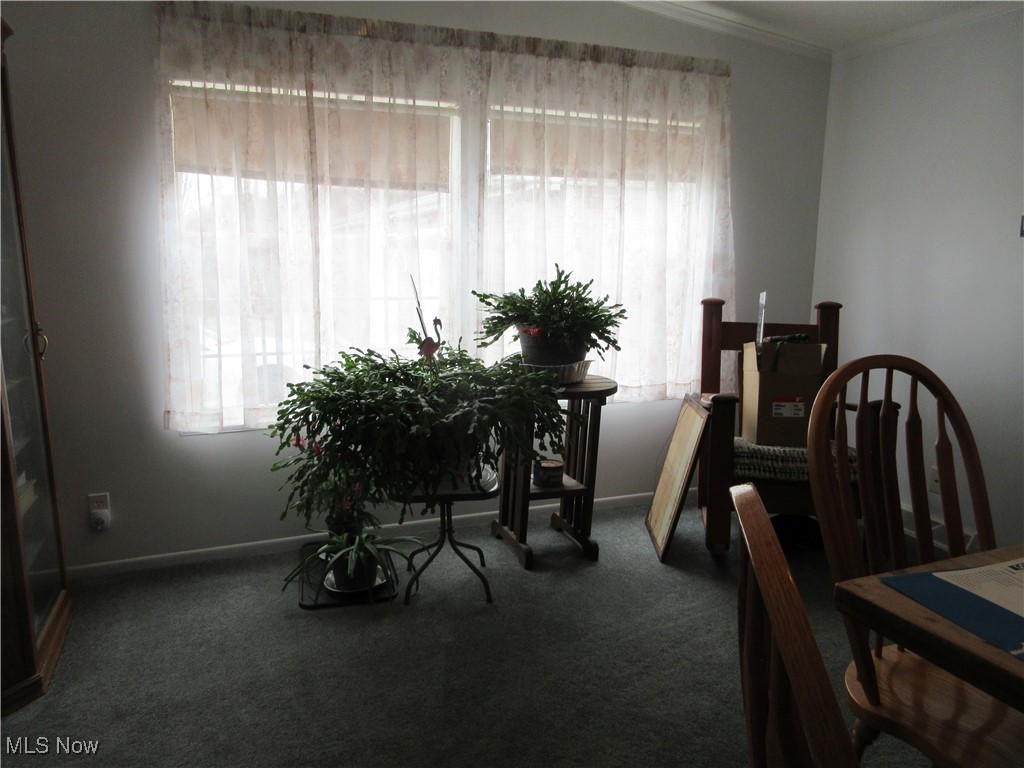 5372 Slater Road, Williamsfield, Ohio image 10
