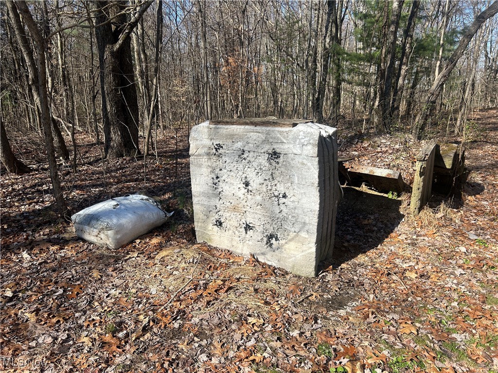 4075 Santoy Rd Rd, Corning, Ohio image 27