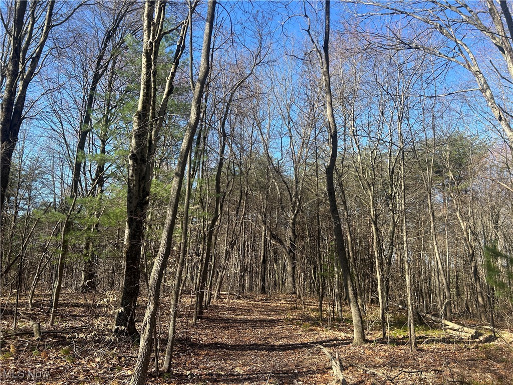 4075 Santoy Rd Rd, Corning, Ohio image 26