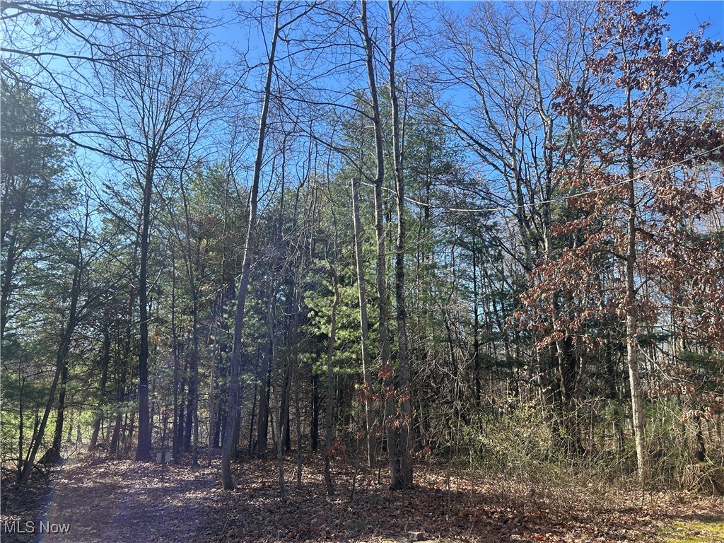 4075 Santoy Rd Rd, Corning, Ohio image 31