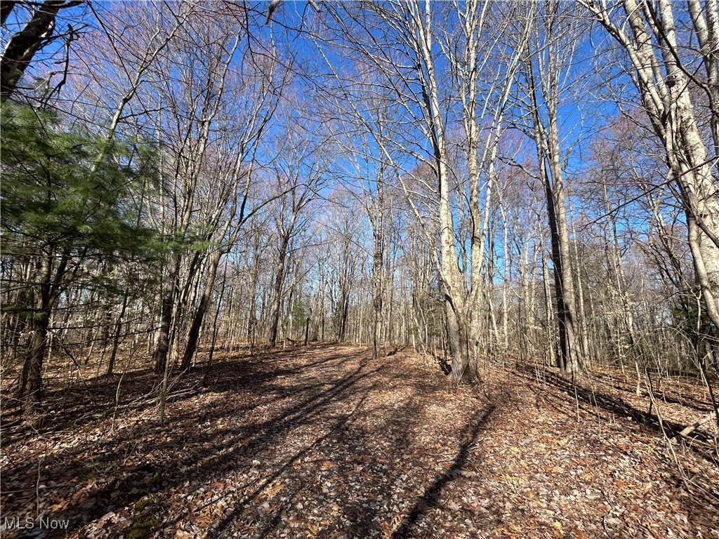4075 Santoy Rd Rd, Corning, Ohio image 30