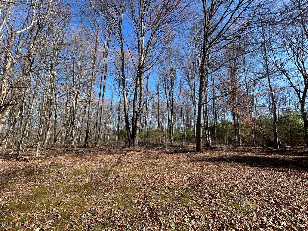 4075 Santoy Rd Rd, Corning, Ohio image 28
