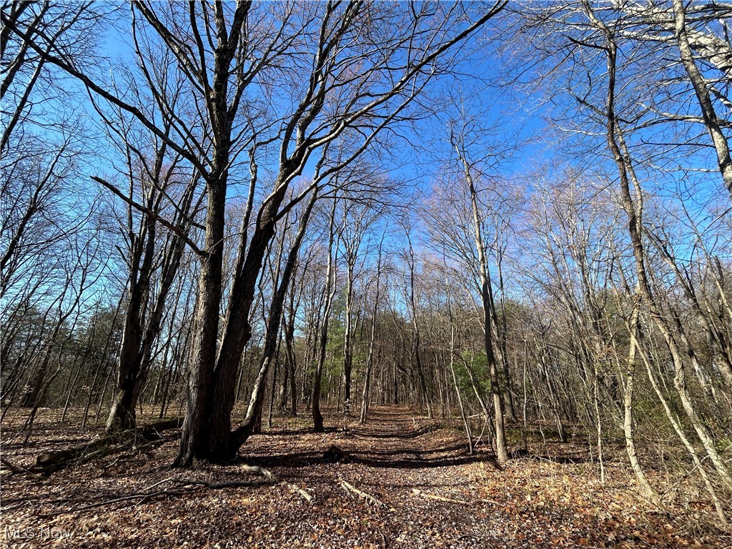 4075 Santoy Rd Rd, Corning, Ohio image 24