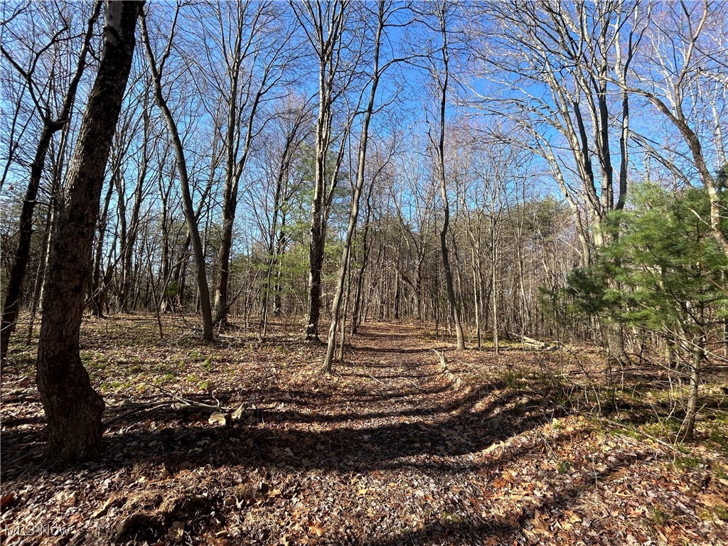 4075 Santoy Rd Rd, Corning, Ohio image 25