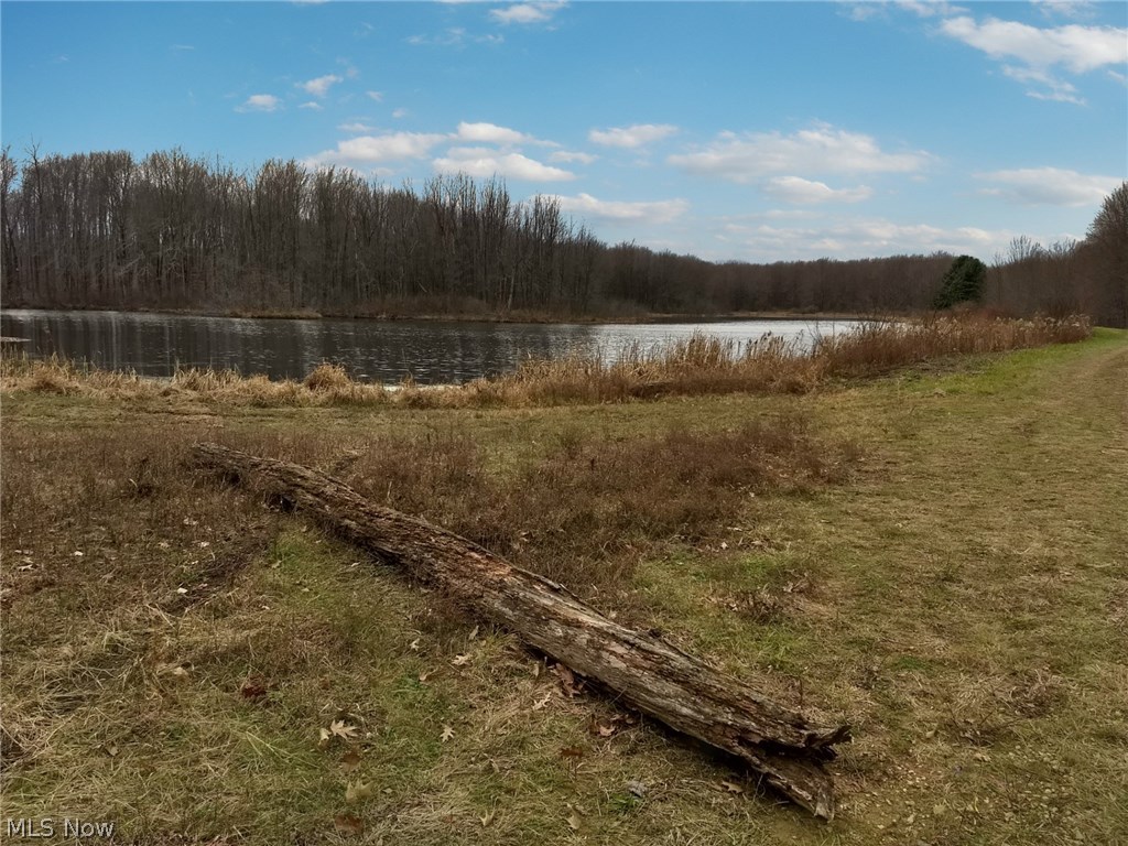 Township/Leroy - Land