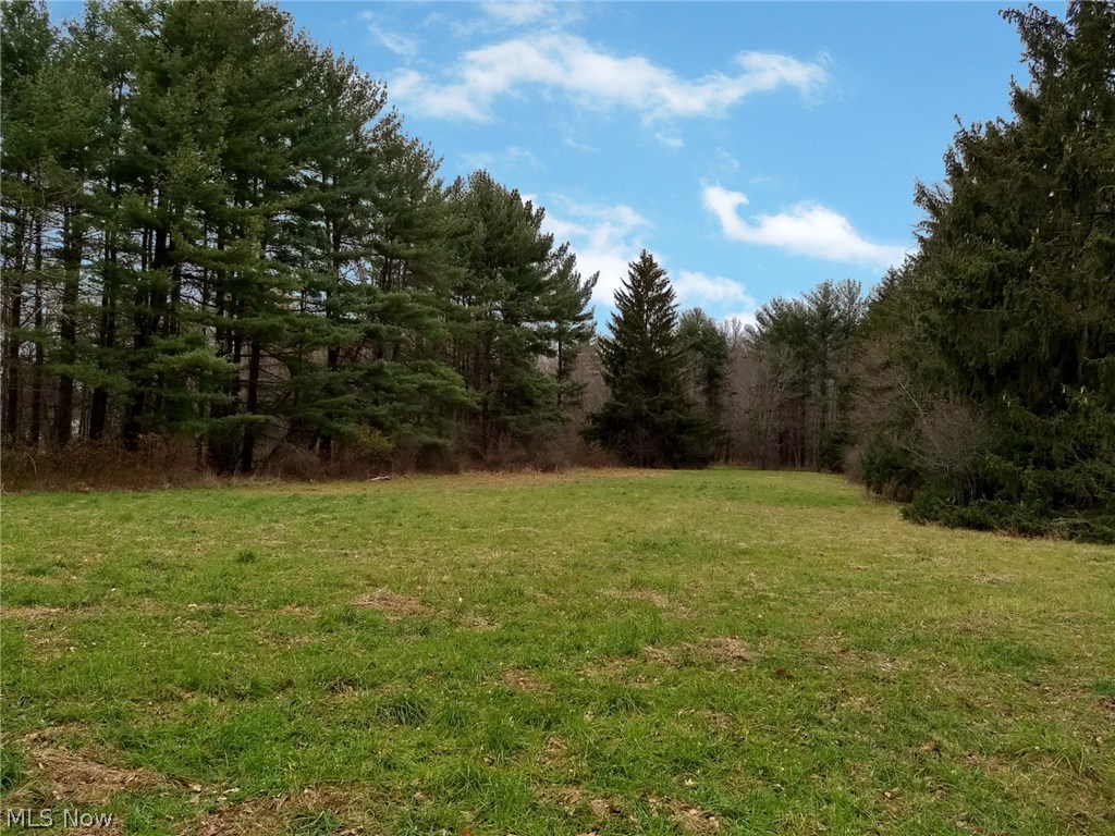 Township/Leroy - Land