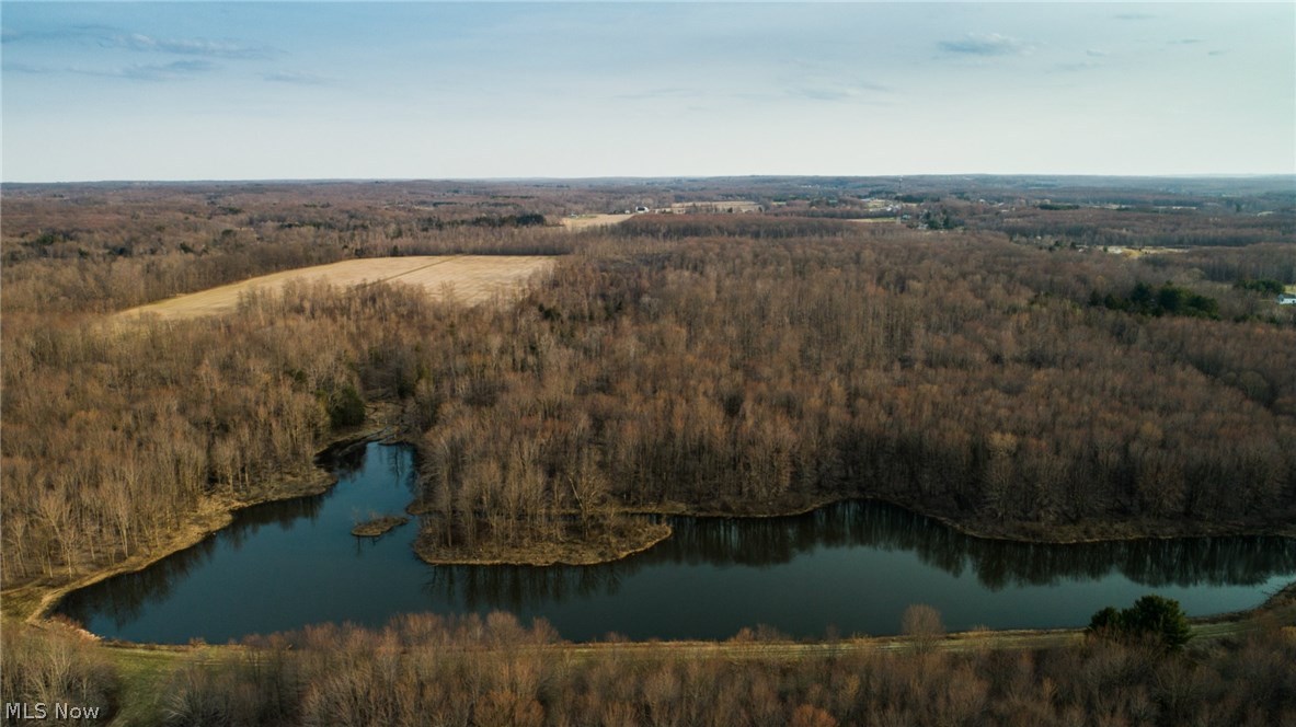 Township/Leroy - Land