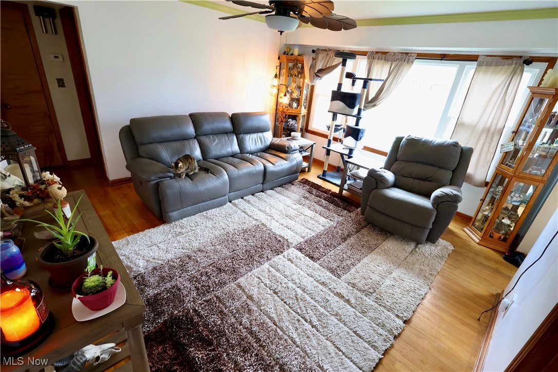 149 S Raccoon Road, Youngstown, Ohio image 14