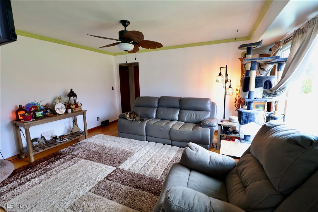 149 S Raccoon Road, Youngstown, Ohio image 15
