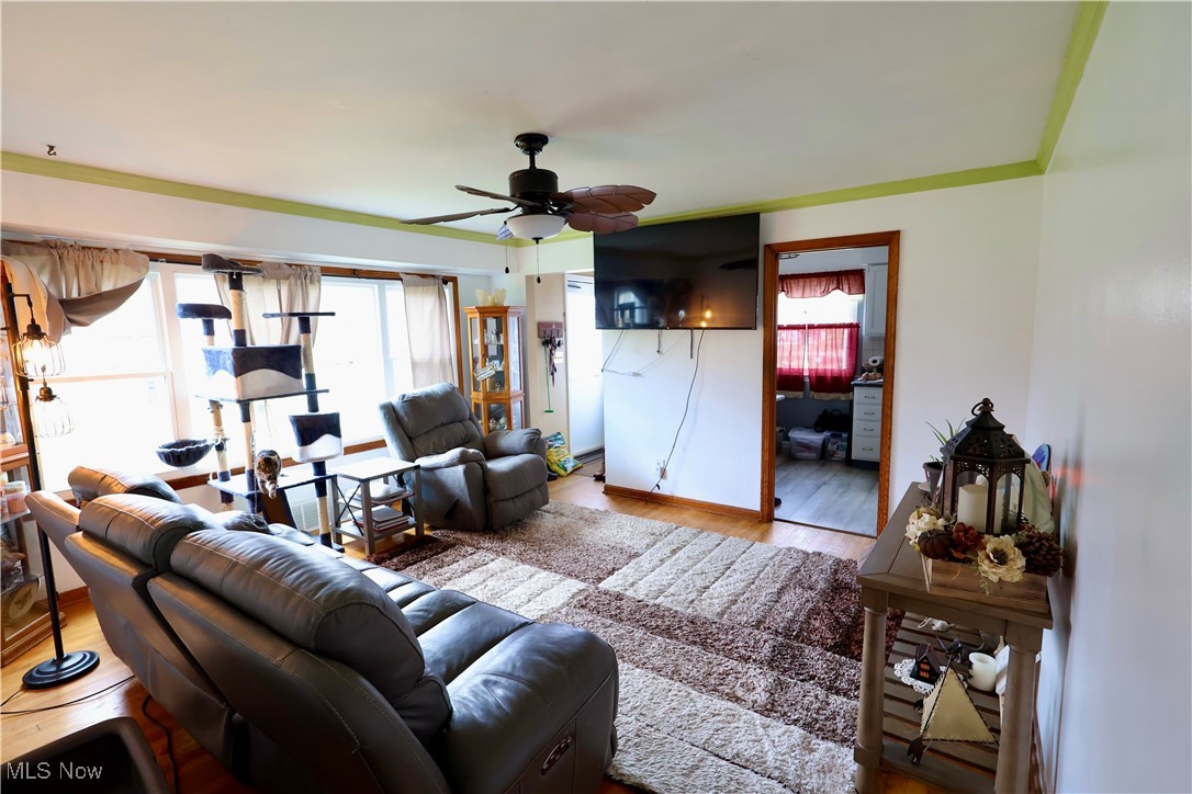 149 S Raccoon Road, Youngstown, Ohio image 16