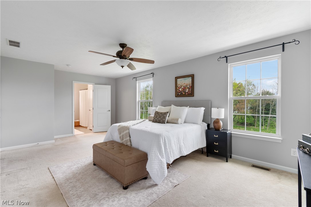 Tiberon Trace - Residential