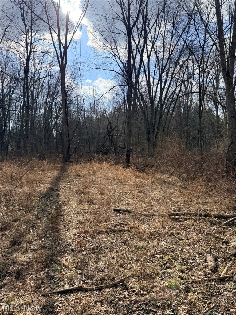 East Forty Estate - Residential