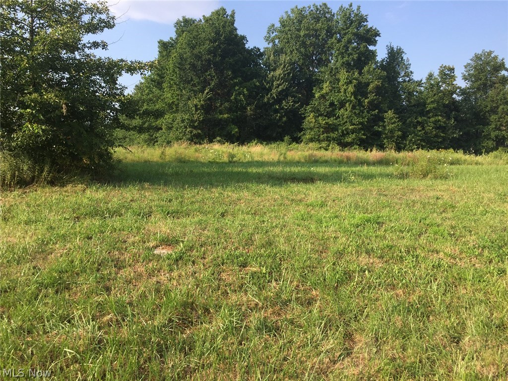 Willow Creek Sub - Land