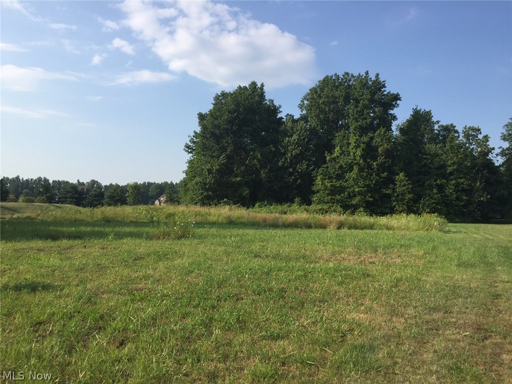 Willow Creek Sub - Land