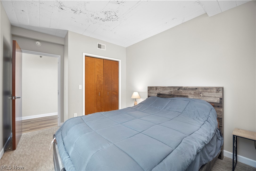 Chesapeake Lofts Condos - Residential