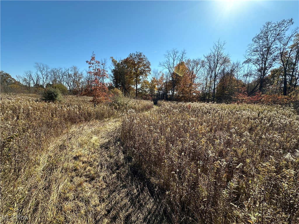 3207 Prairie Circle, Diamond, Ohio image 8